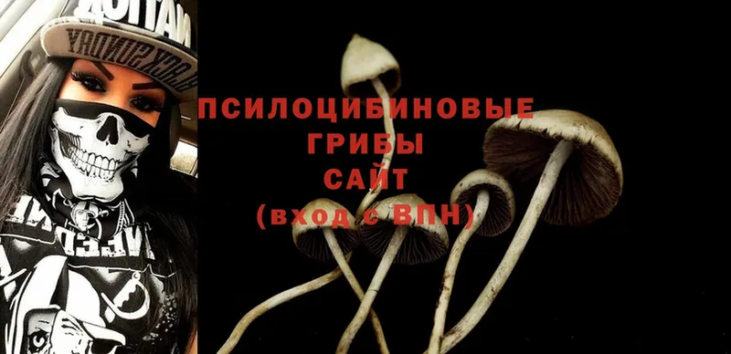 Галлюциногенные грибы Psilocybe Кизел